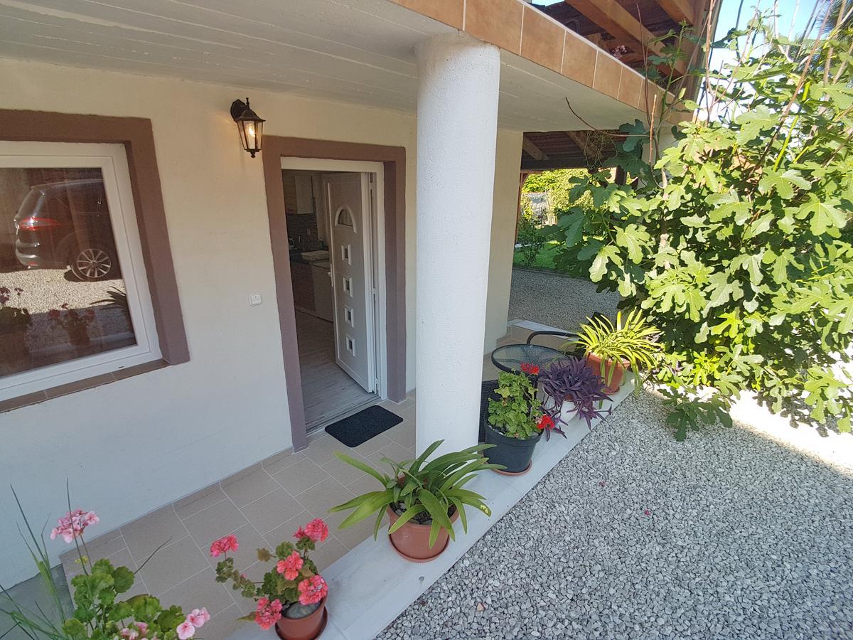 Villa Nora เฮวิซ ภายนอก รูปภาพ